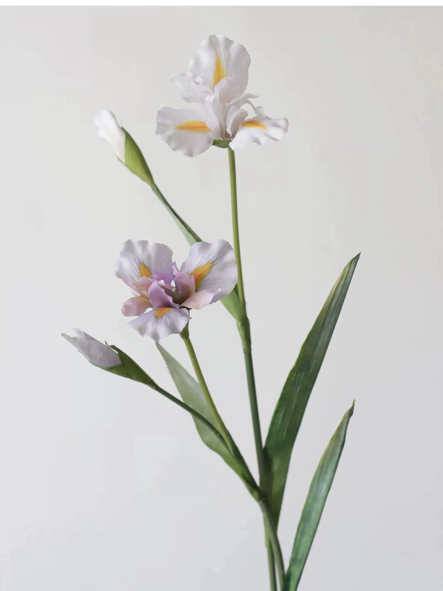 Real Touch Faux Iris Flower Stem – 31"