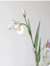 Real Touch Faux Iris Flower Stem – 31"