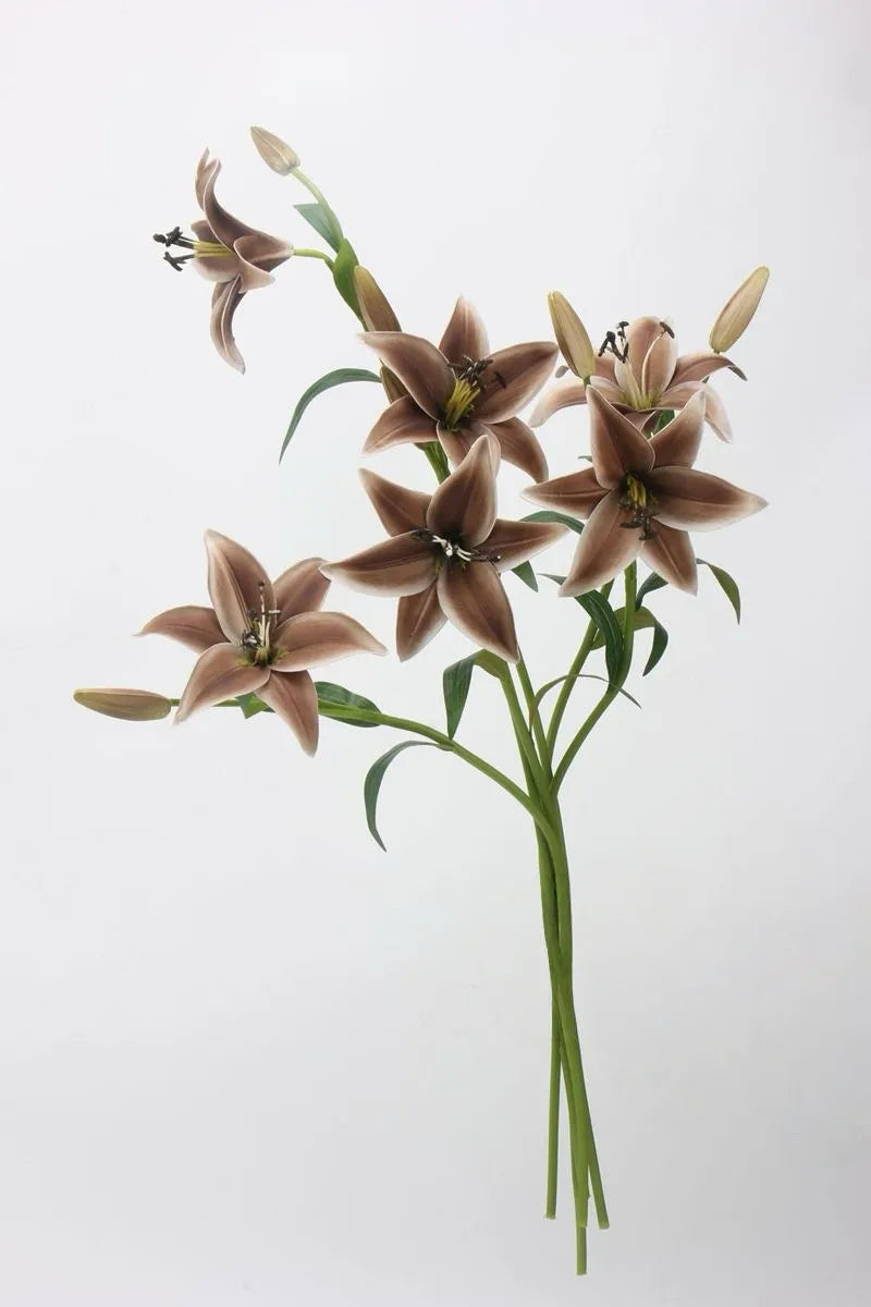 Random Flower Ral Real Touch Faux Lily Flower – Earth Tone – Amoria Bloom