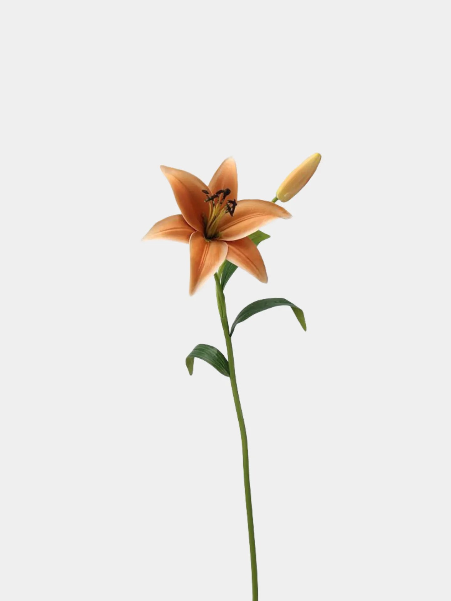 Real Touch Faux Lily Flower – Earth Tone