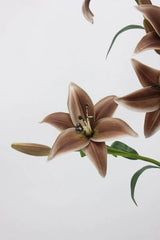 リアルタッチフェイクリリー花 - アーストーン