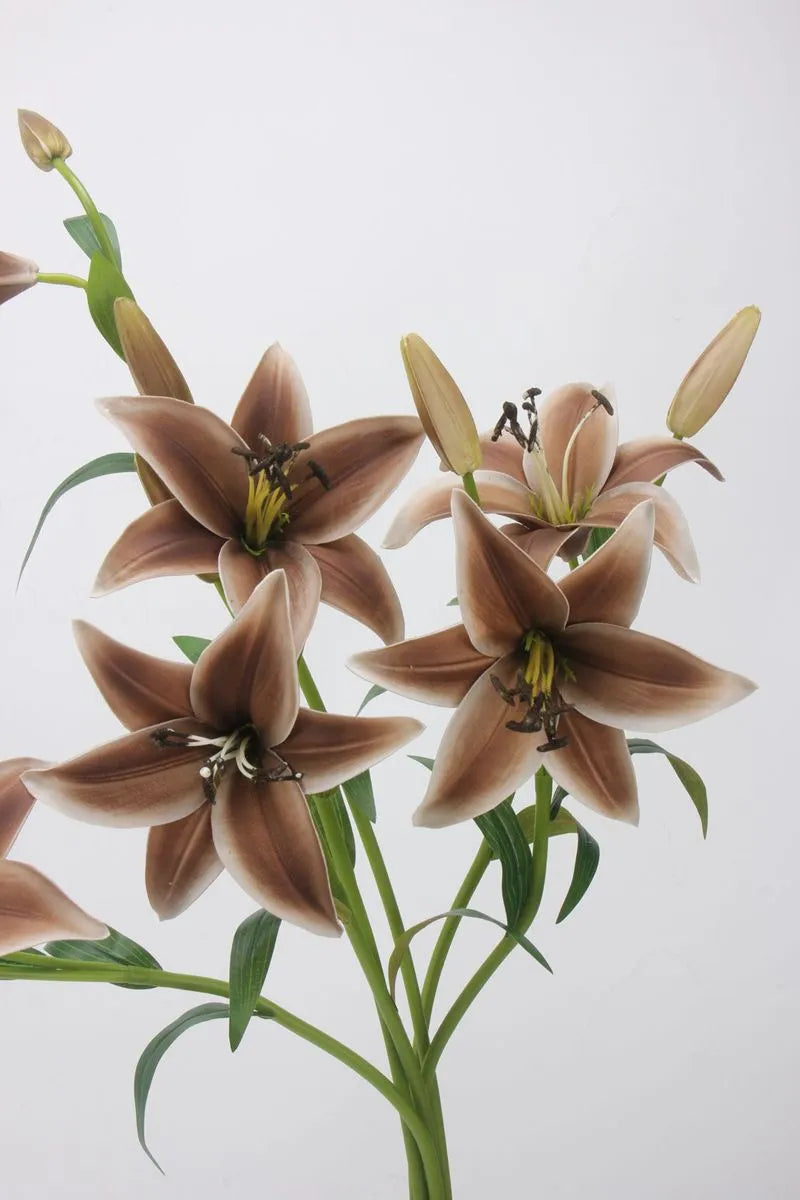 real lily flower Real Touch Faux Lily Flower – Earth Tone