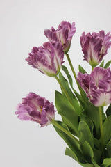 Real Touch Faux Monet Tulip Stem – 24"