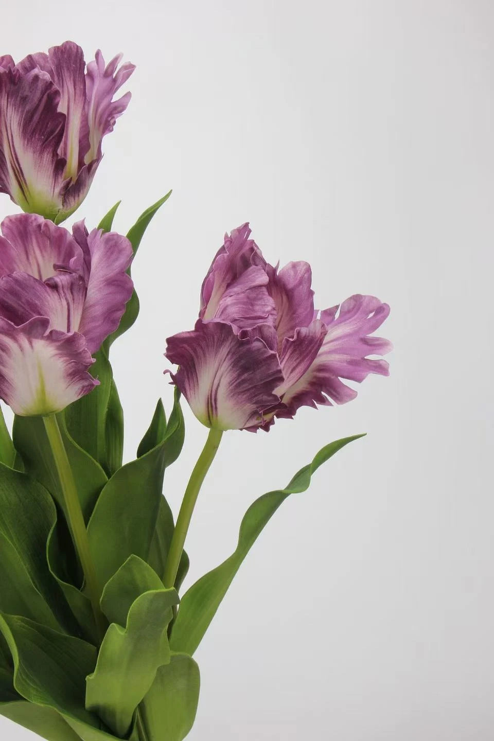 Real Touch Faux Monet Tulip Stem – 24"