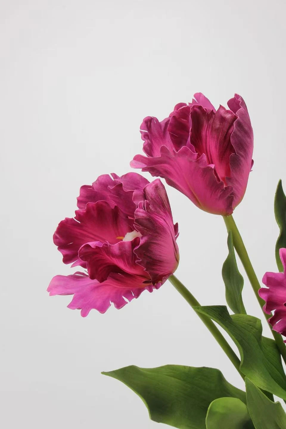 Real Touch Faux Monet Tulip Stem – 24"