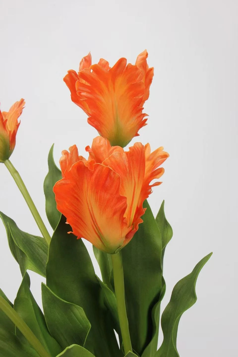 Real Touch Faux Monet Tulip Stem – 24"