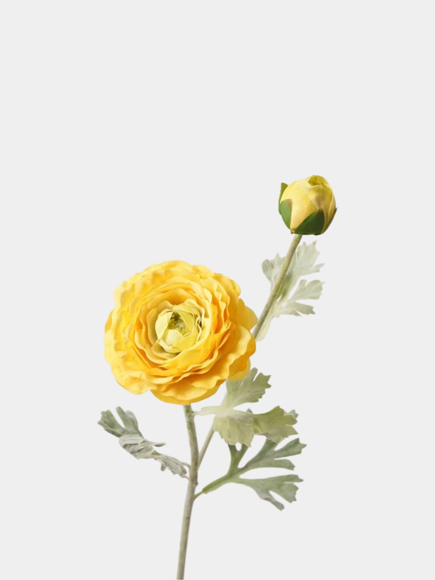 Real Touch Faux Ranunculus Stem –  24"