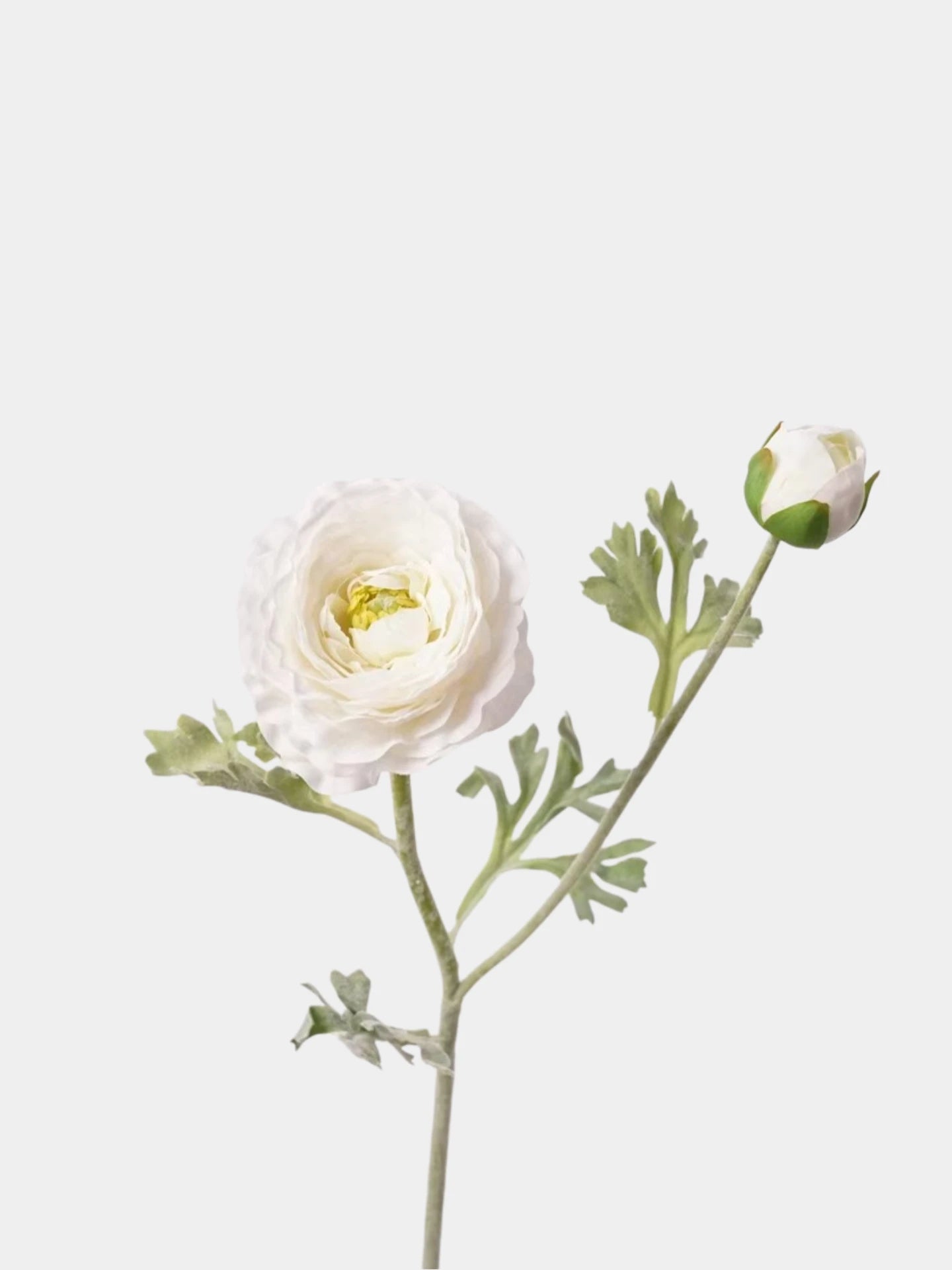 Real Touch Faux Ranunculus Stem –  24"