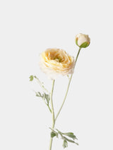 Real Touch Faux Ranunculus Stem –  24"
