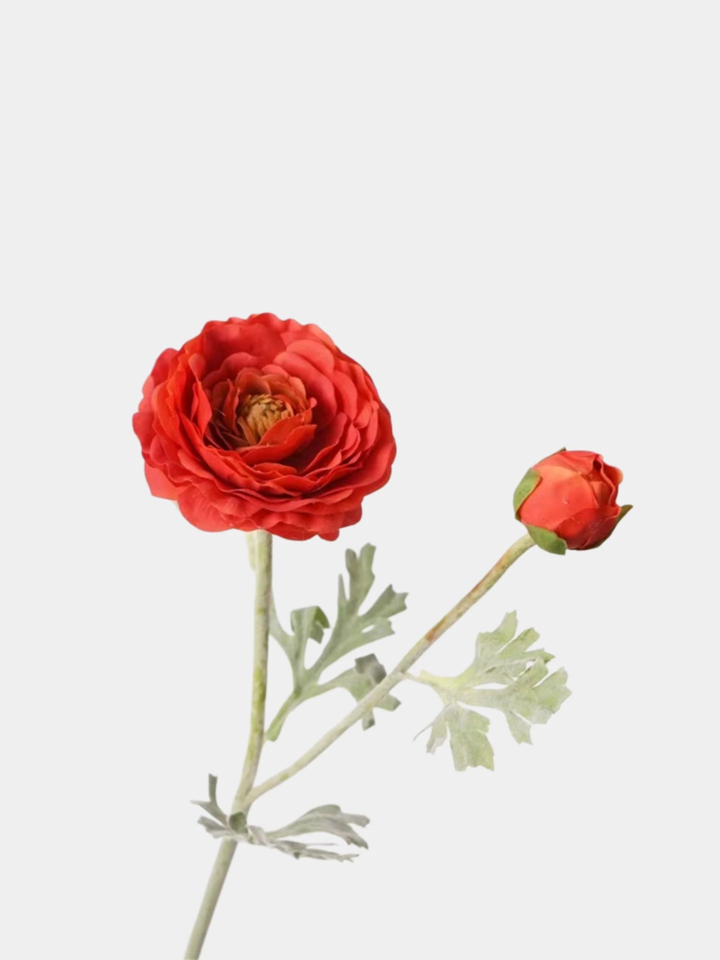 Real Touch Faux Ranunculus Stem –  24"