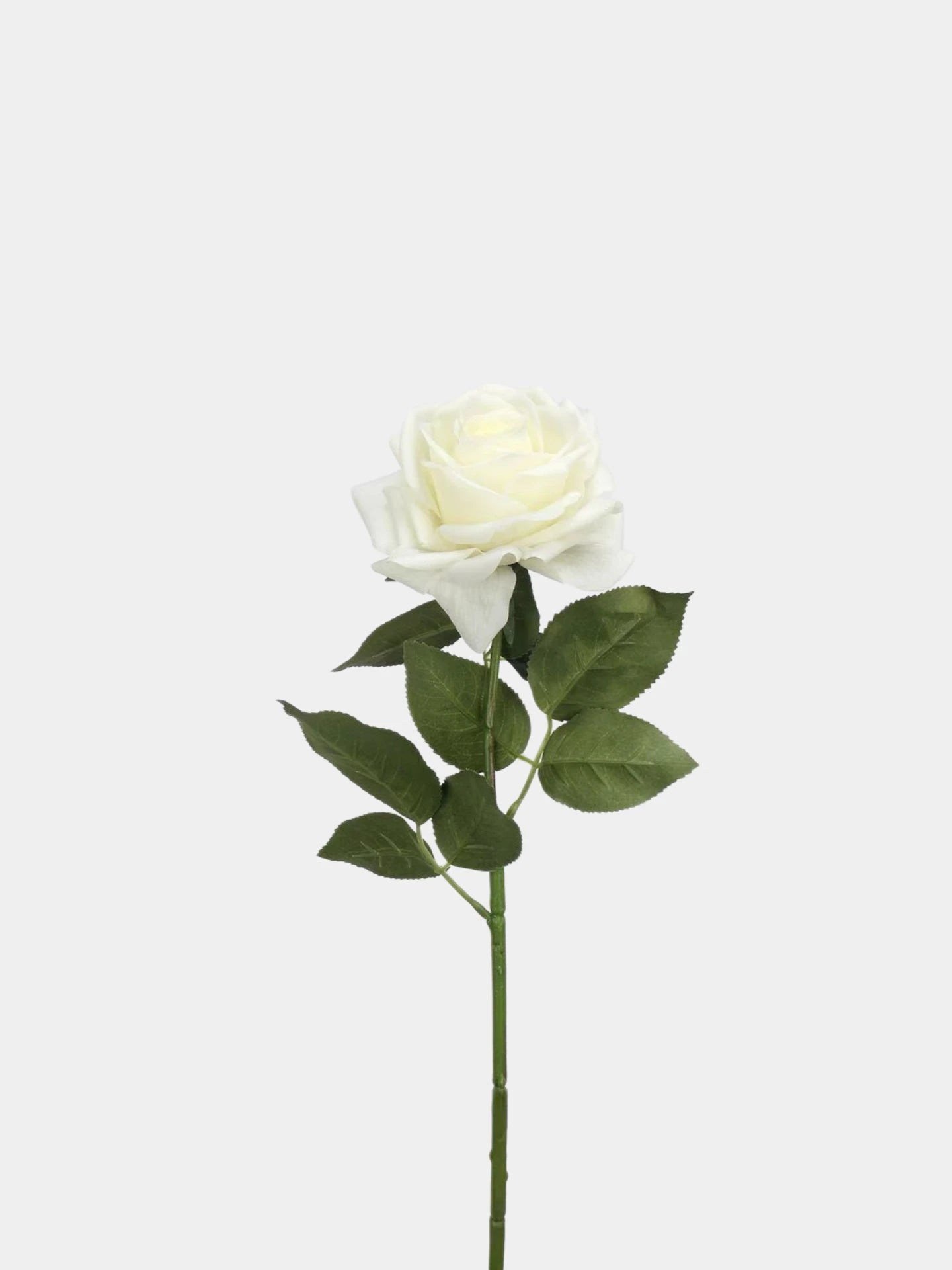 Rosenstiel aus künstlichen Rosen mit echter Haptik in Weiß – 63,5 cm