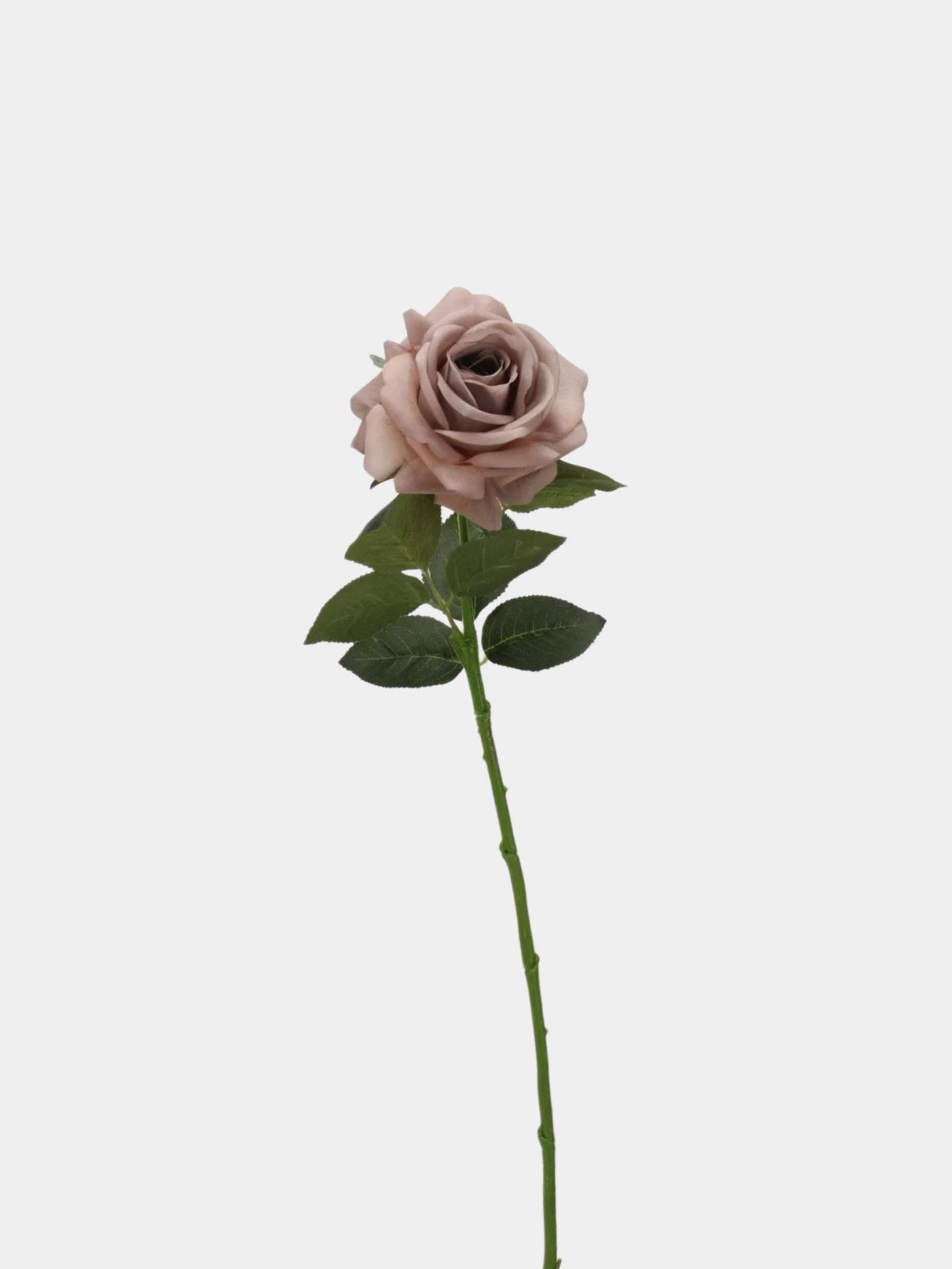 Künstliche Rose „Real Touch“ in Hellbraun – 63,5 cm