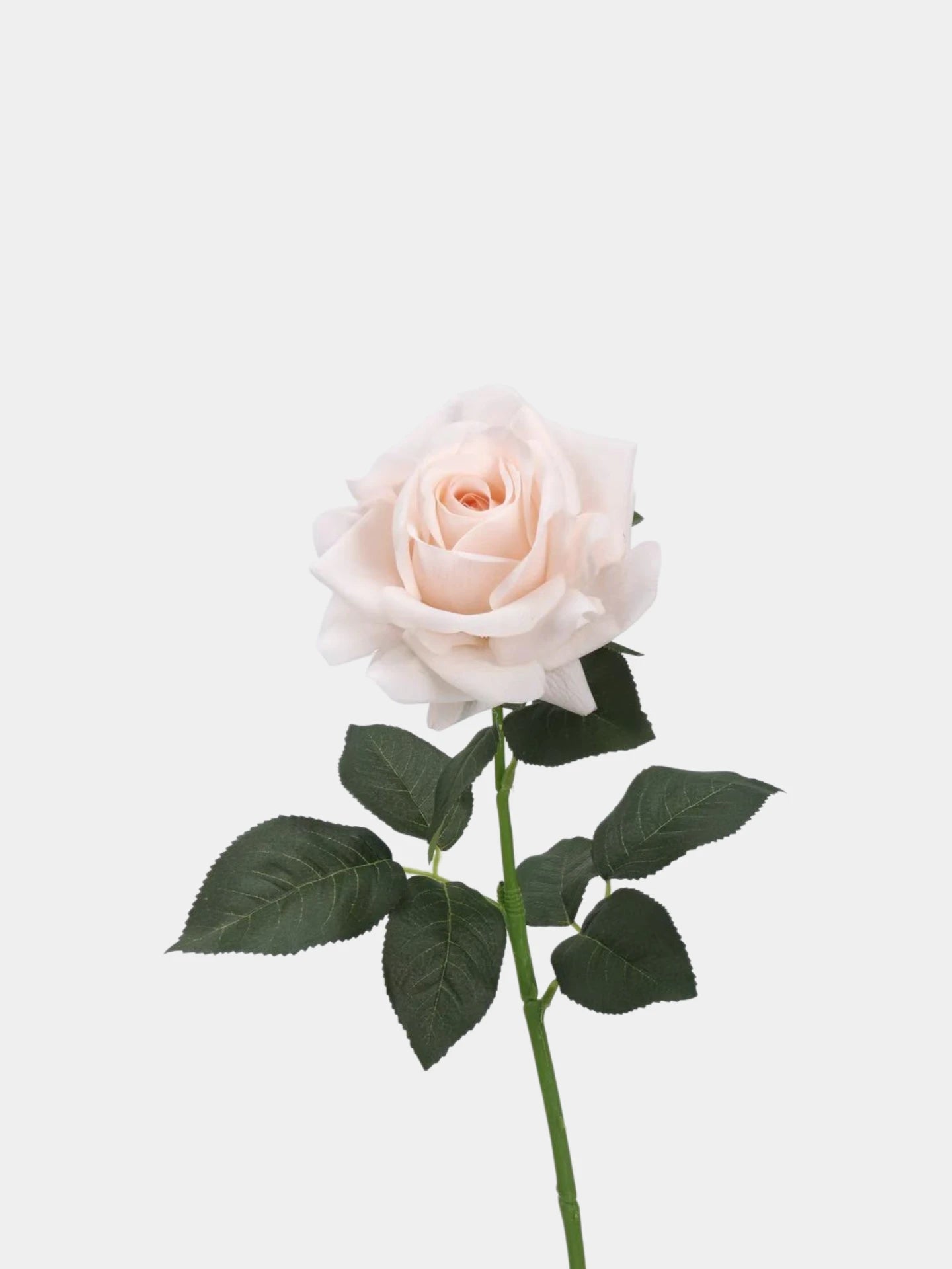 Real Touch  Faux Rose Stem in Nude Pink– 25"