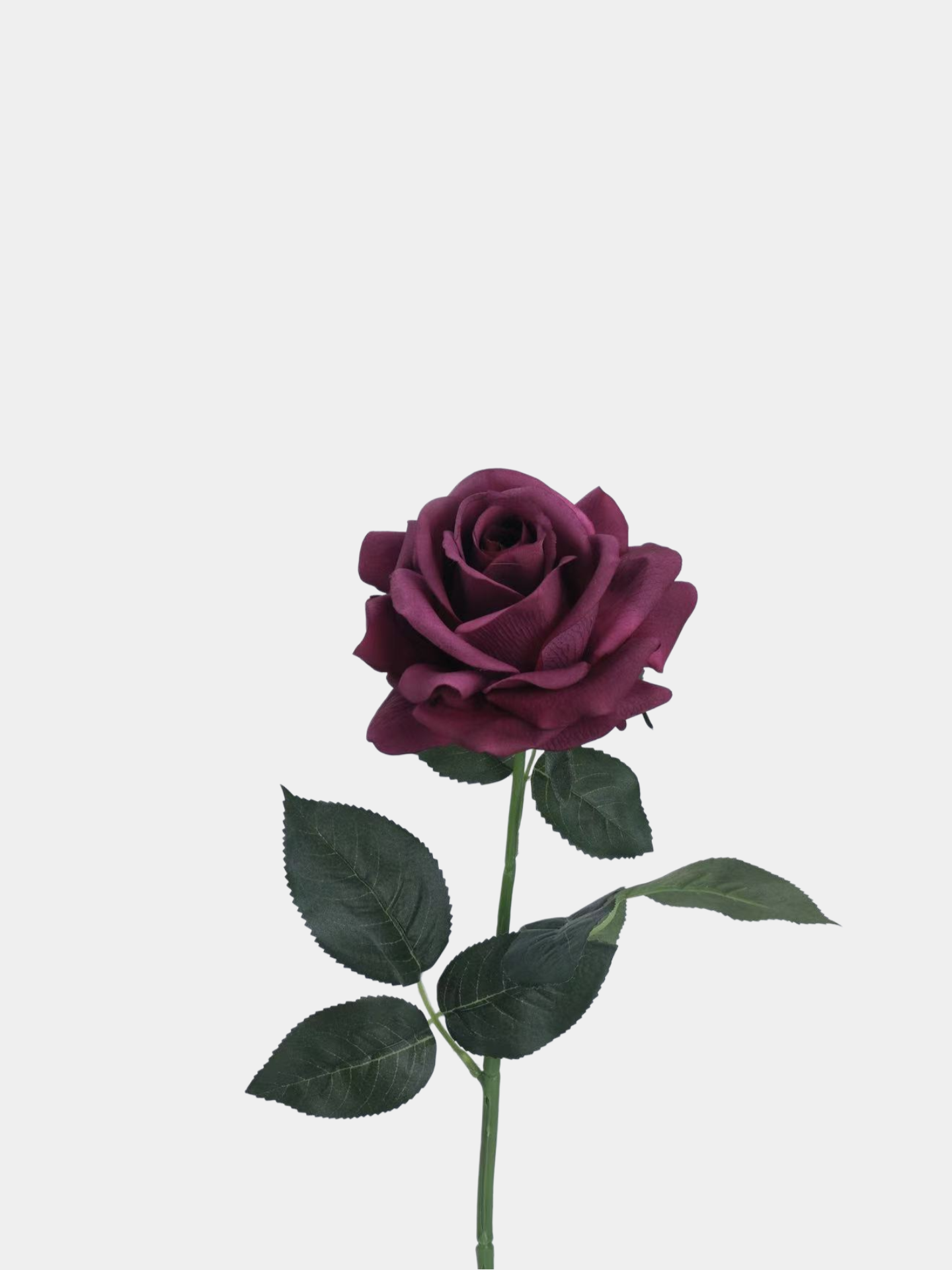 Echte Haptik – Künstliche Rosenstiel in Violett – 63,5 cm