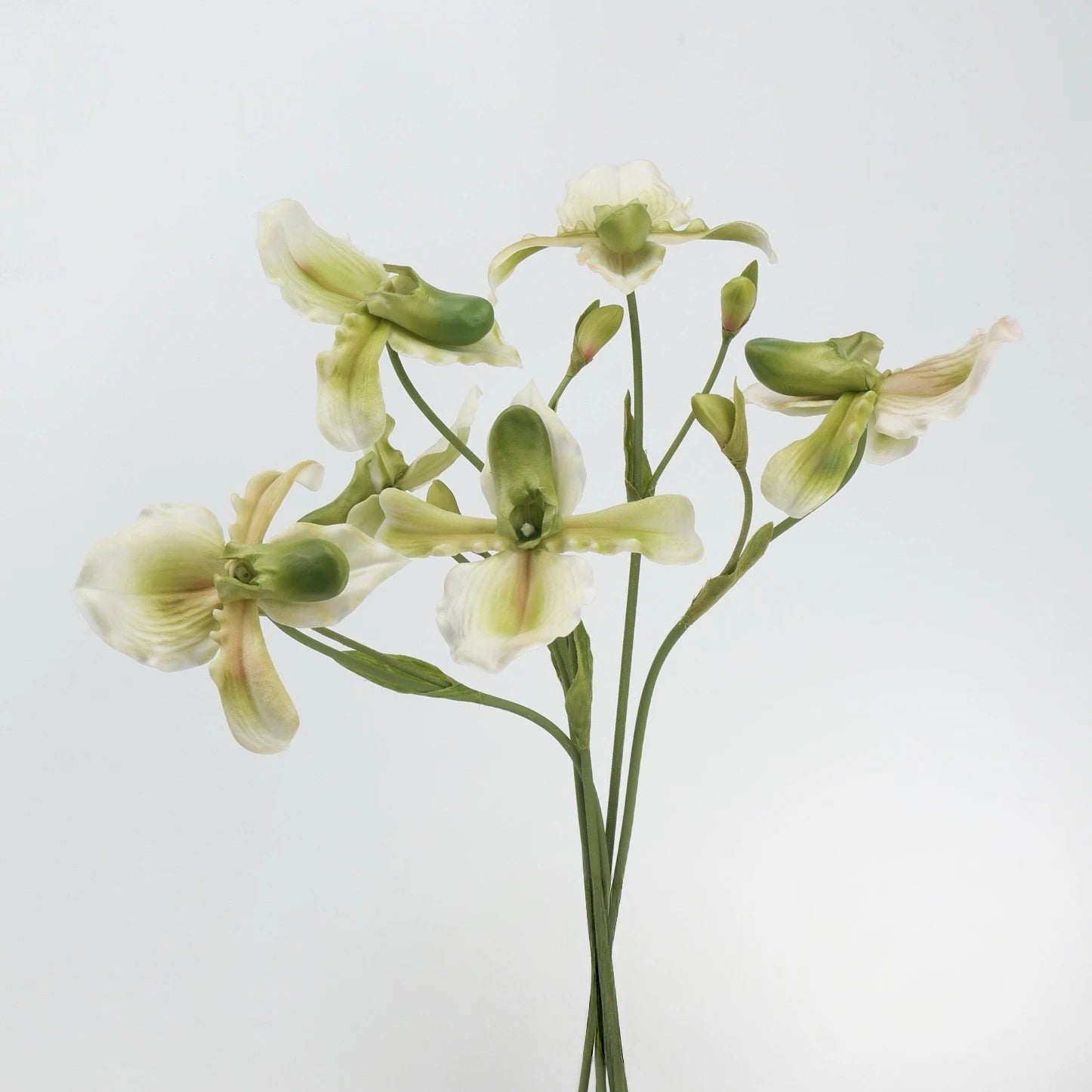 Echte Haptik Künstliche Pantoffel-Orchideen-Stiel – 66 cm Grün/Pink