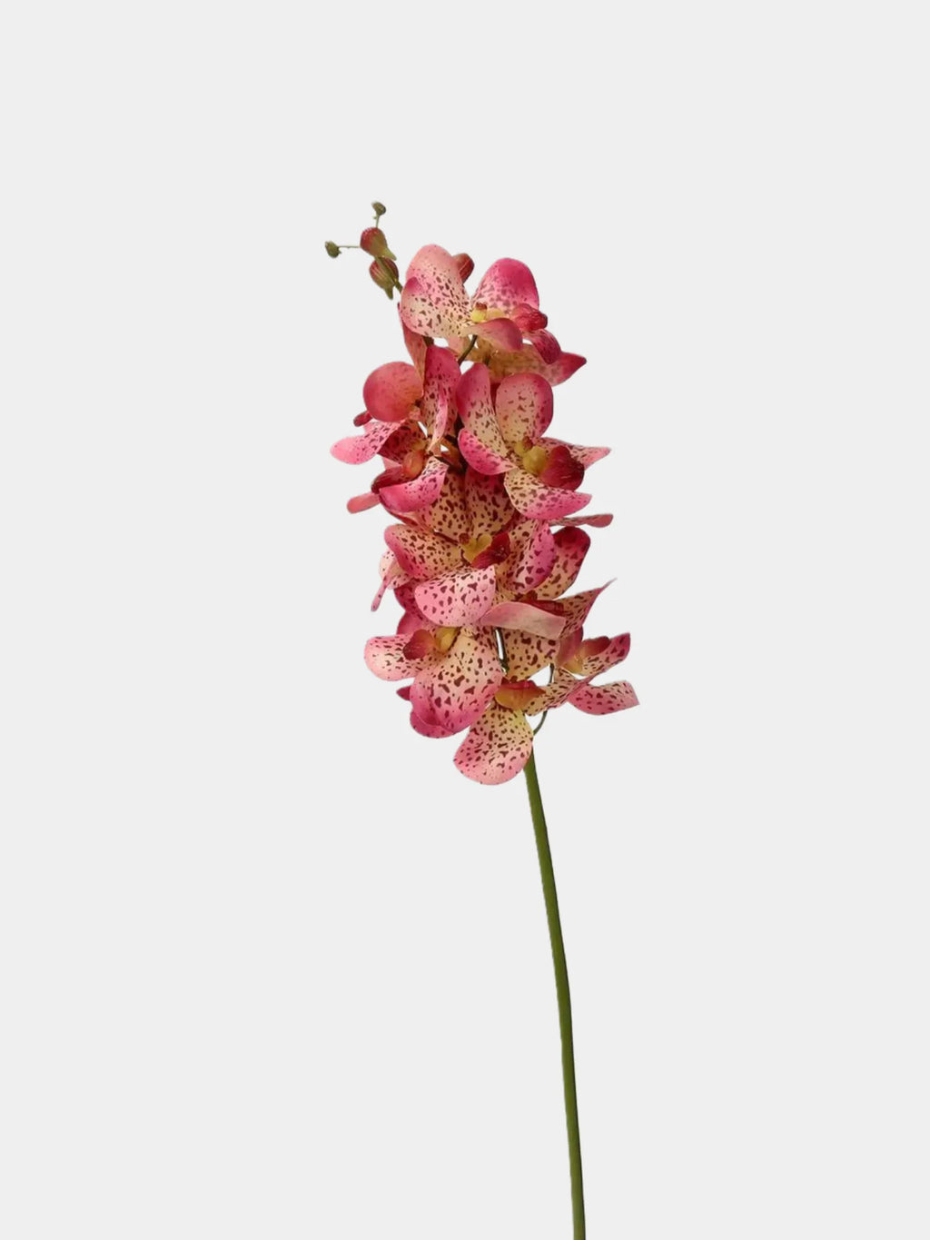 Real Touch Faux Vanda Orchid –Pink 27"