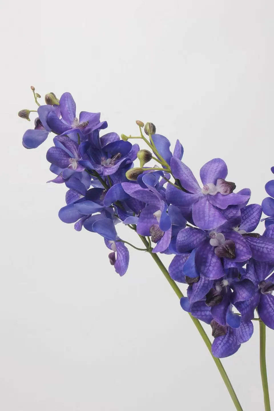 Real Touch Faux Vanda Orchid –Blue Violet 27"