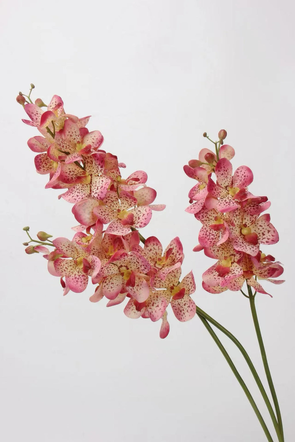 Real Touch Faux Vanda Orchid –Pink 27"