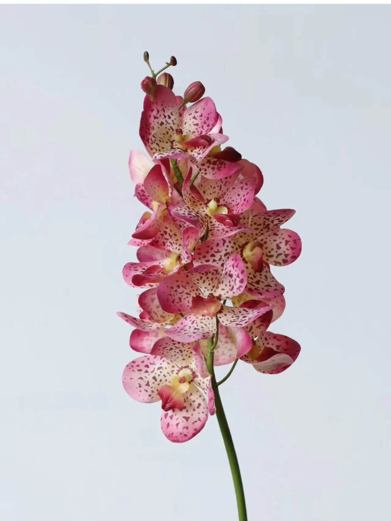Real Touch Faux Vanda Orchid –Pink 27"