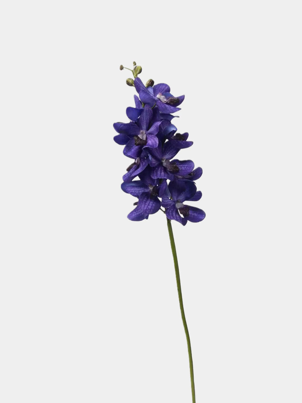Real Touch Faux Vanda Orchid –Blue Violet 27"