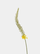 Real Touch Foxtail Lily Spray Stem – 45"/115cm