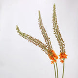 Real Touch Foxtail Lily Spray Stem – 45"/115cm