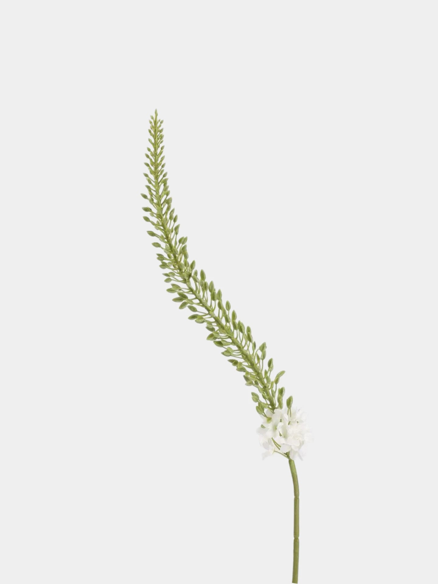 Real Touch Foxtail Lily Spray Stem – 45"/115cm