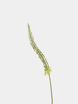 Real Touch Foxtail Lily Spray Stem – 45"/115cm