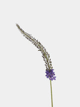 Real Touch Foxtail Lily Spray Stem – 45"/115cm