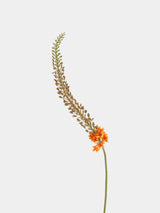 Real Touch Foxtail Lily Spray Stem – 45"/115cm