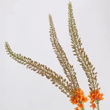 Real Touch Foxtail Lily Spray Stem – 45"/115cm