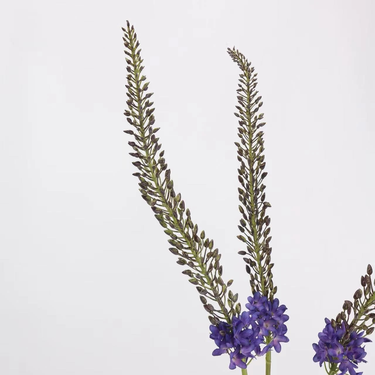 Real Touch Foxtail Lily Spray Stem – 45"/115cm