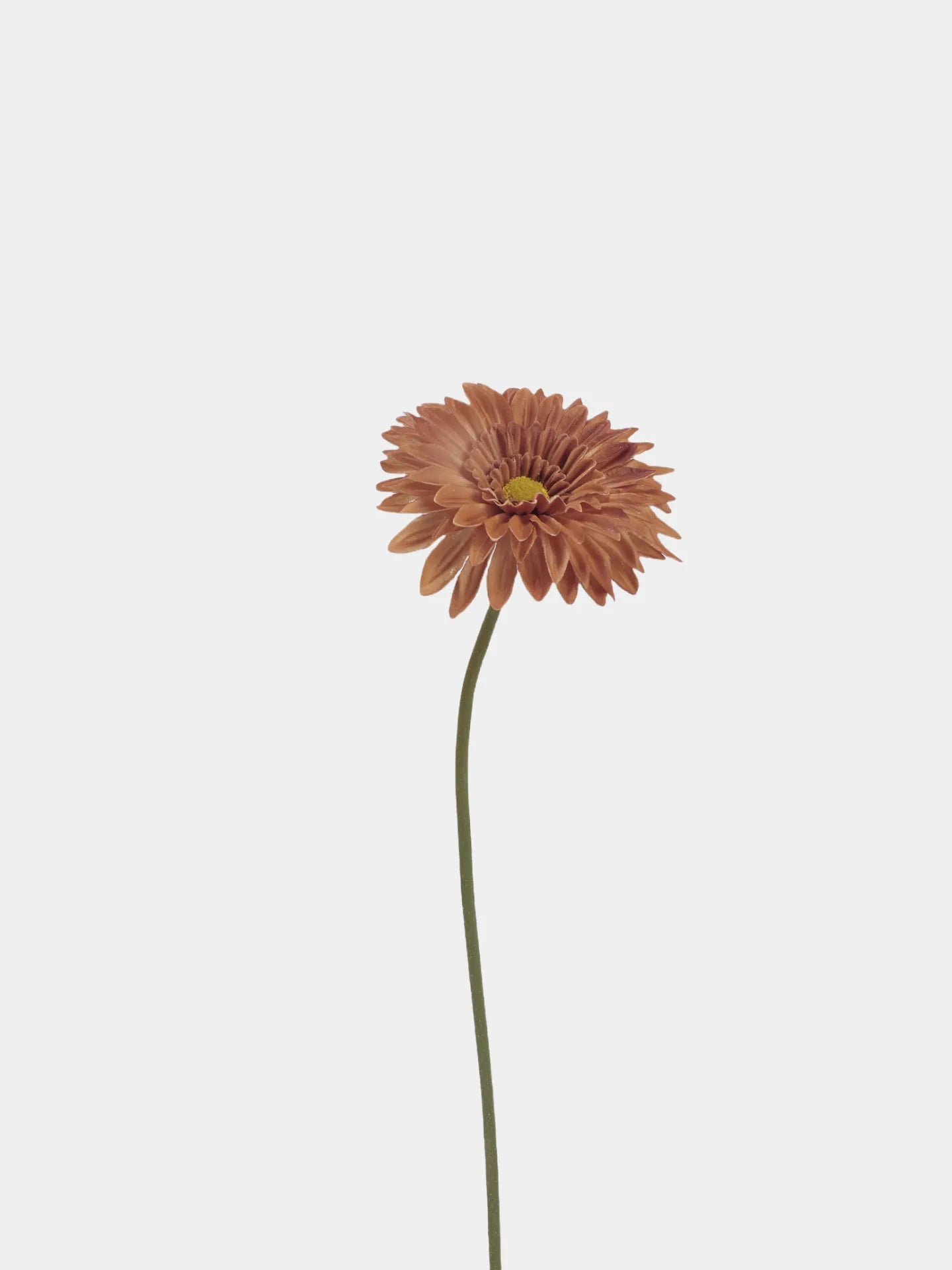 Real Touch Gerbera Daisy Flower –  Brown 22"