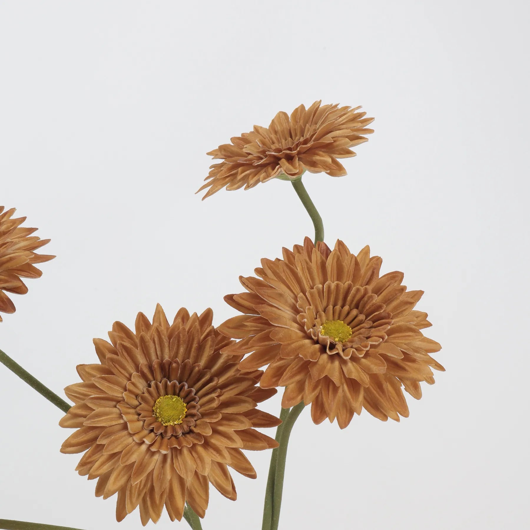 Real Touch Gerbera Daisy Flower – Light Brown 22"