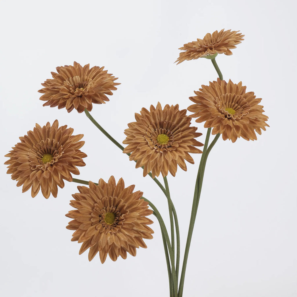 Real Touch Gerbera Daisy Flower – Light Brown 22"