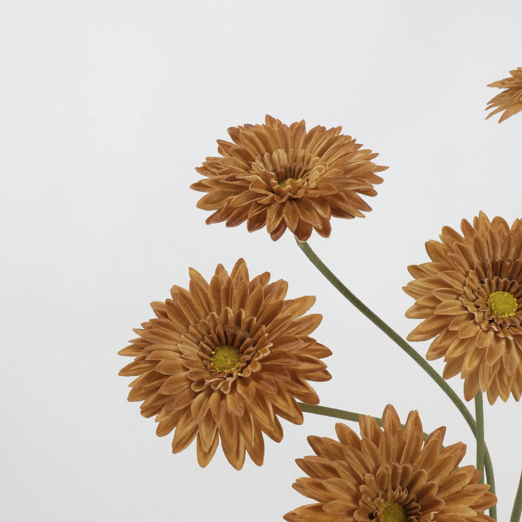 Real Touch Gerbera Daisy Flower – Light Brown 22"