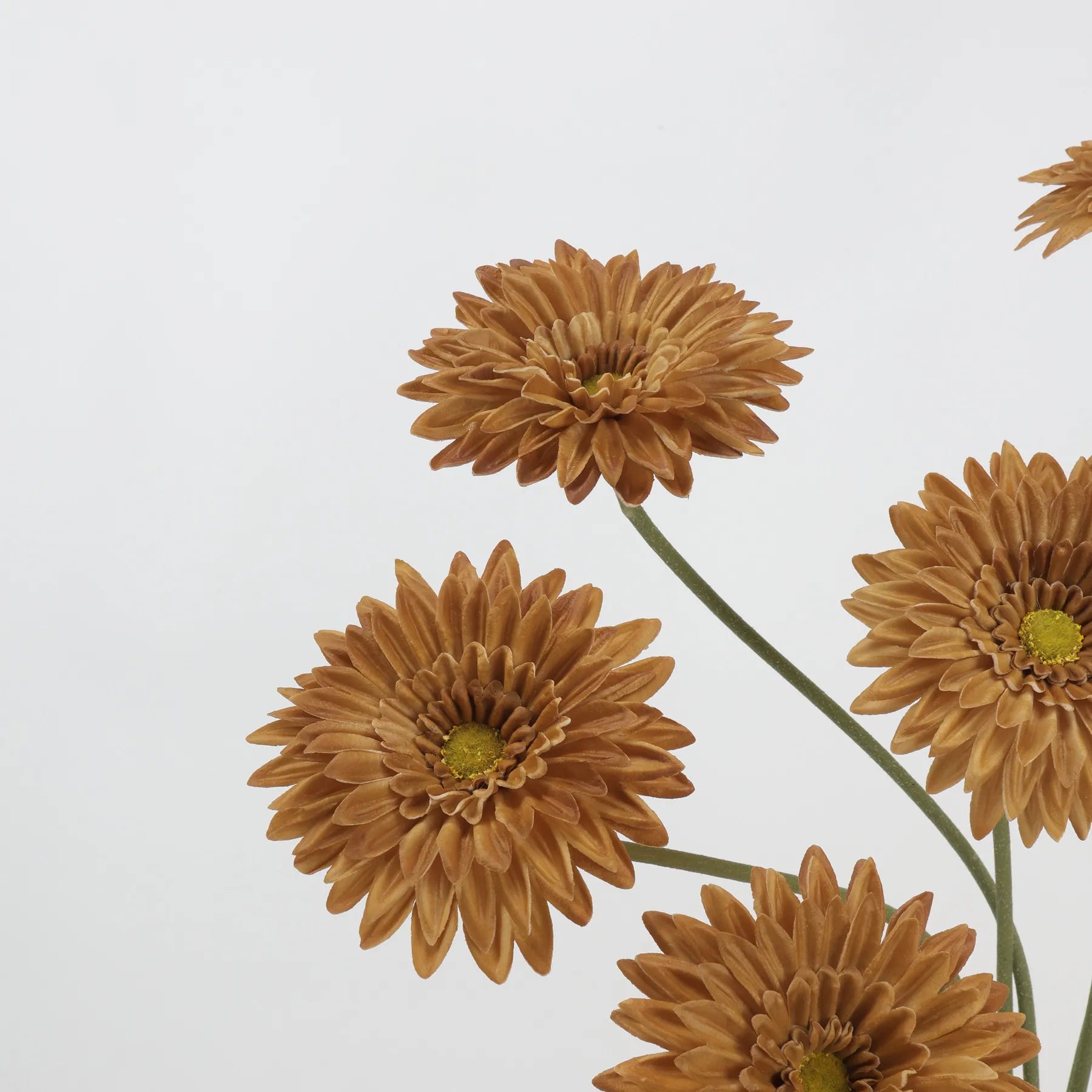 リアルタッチ ガーベラ デイジー フラワー – ライトブラウン 22"