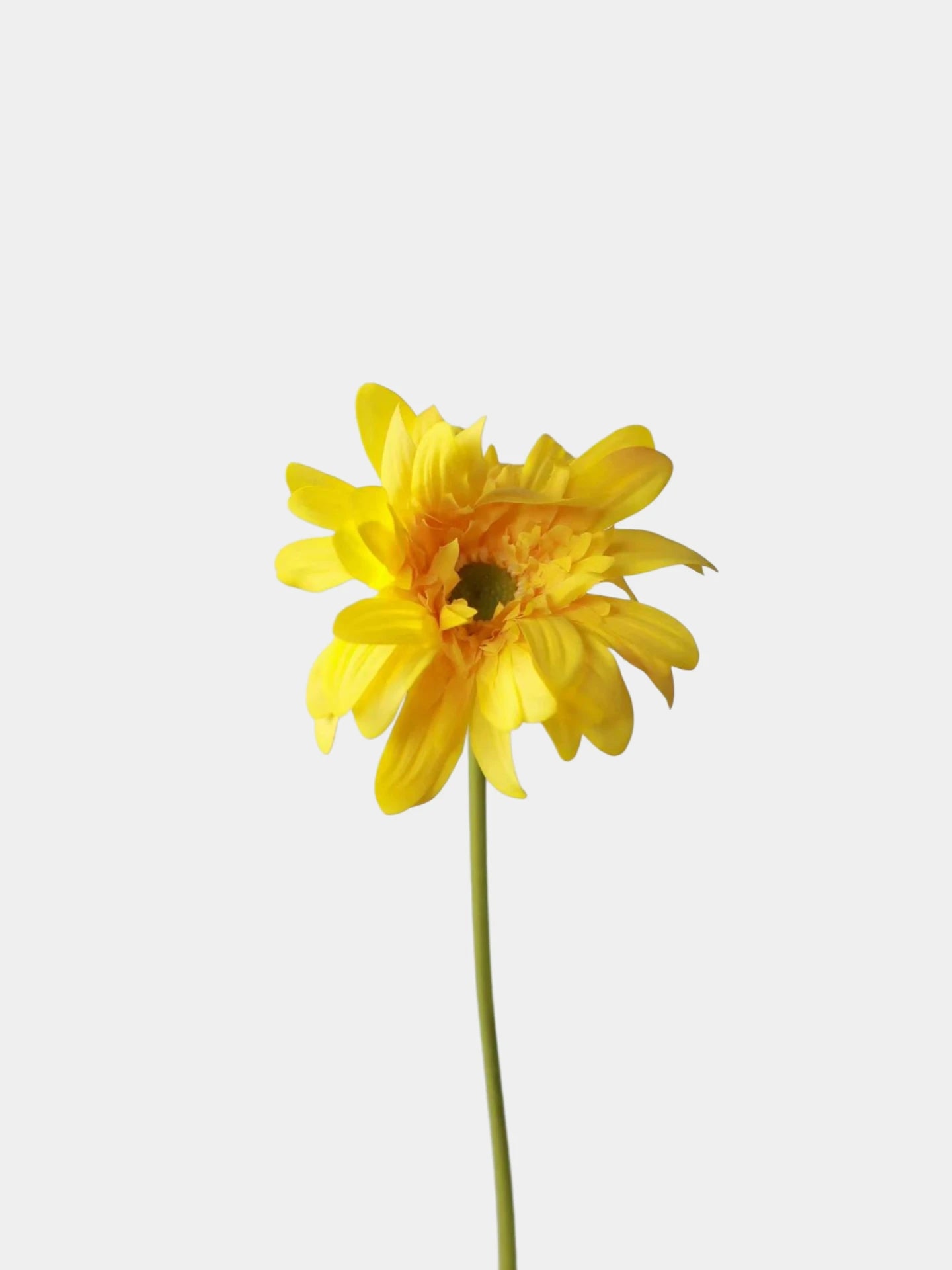 Real Touch Gerbera Daisy Stem – 26"