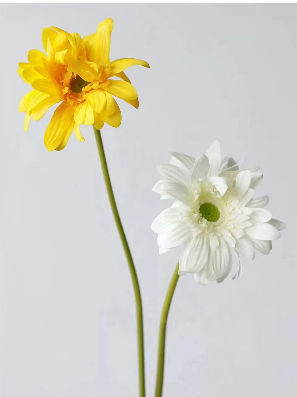 Real Touch Gerbera Daisy Stem – 26"