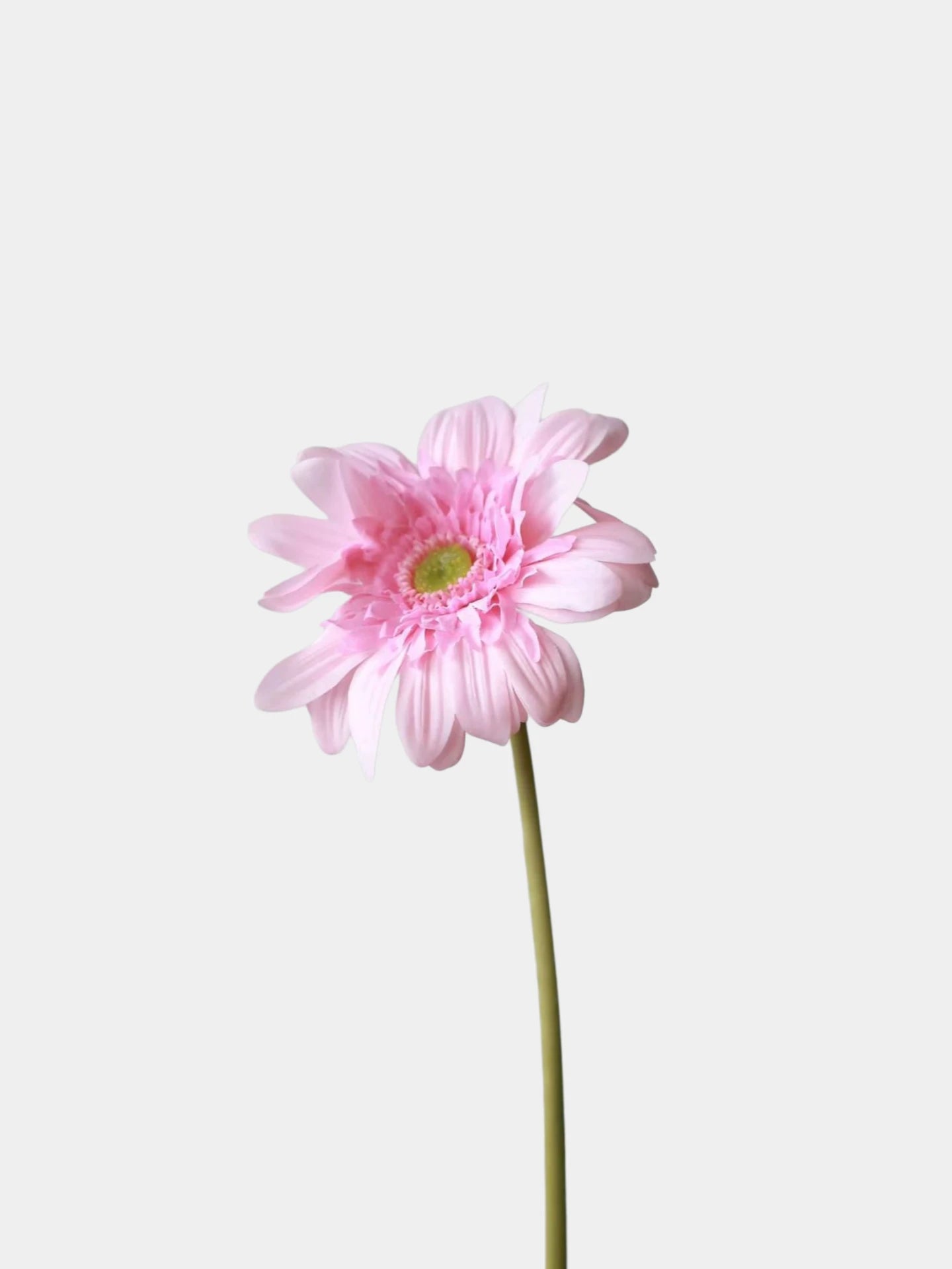 Real Touch Gerbera Daisy Stem – 26"