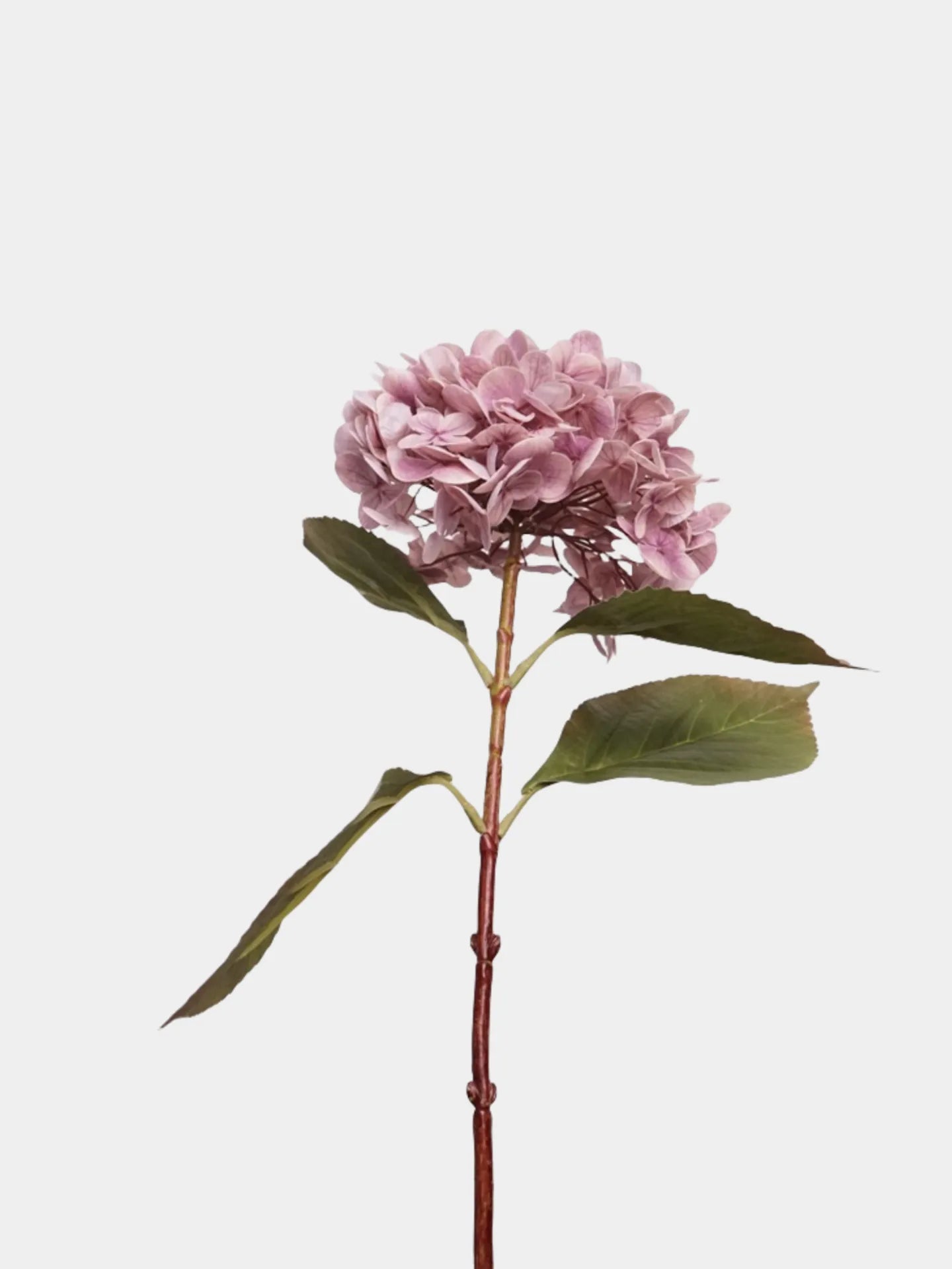 リアルタッチ 大きな フェイク アジサイ ステム - ピンク 20.8"