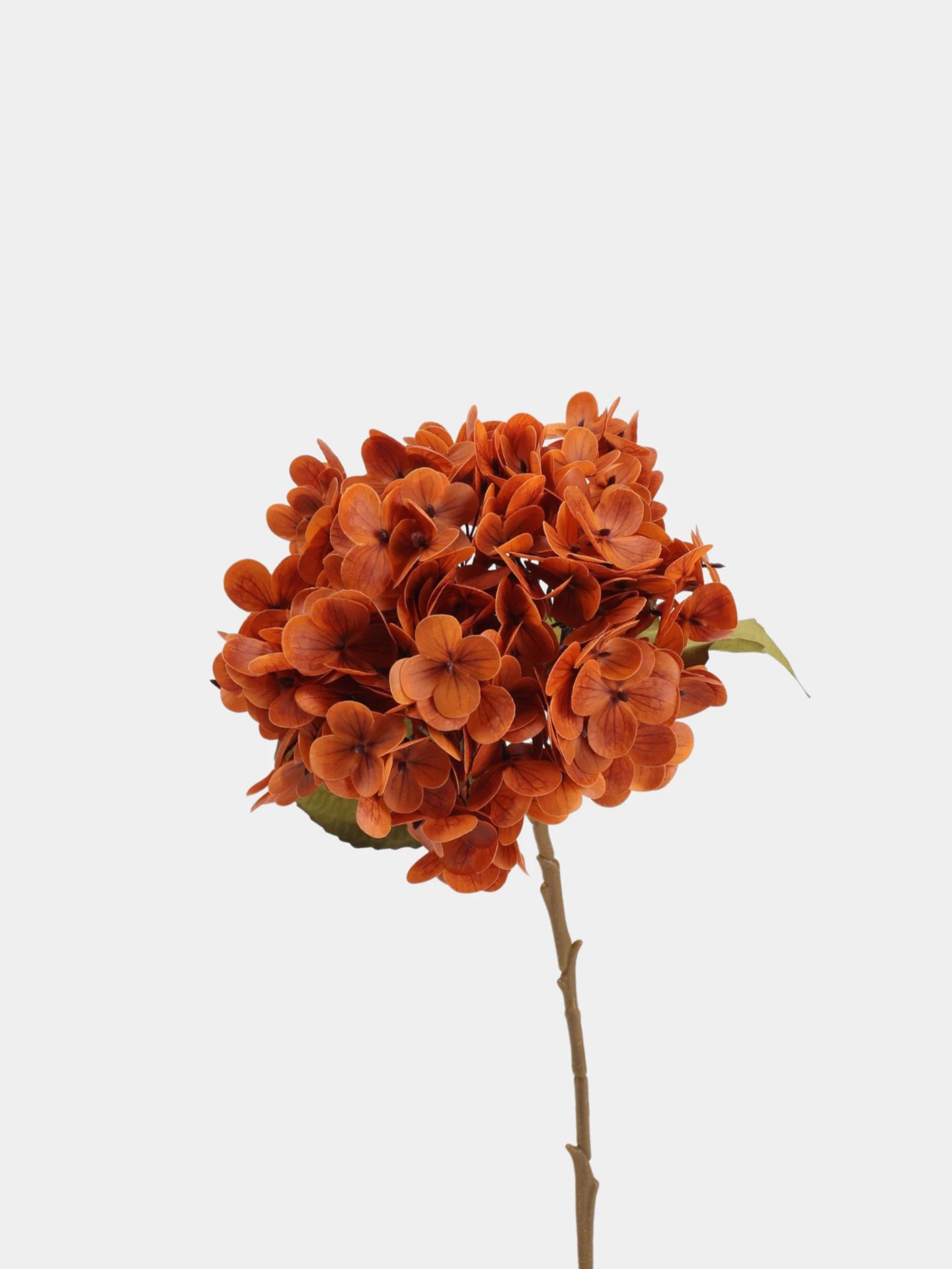 Hortensienstiel „Real Touch“ in Rot – 50 cm