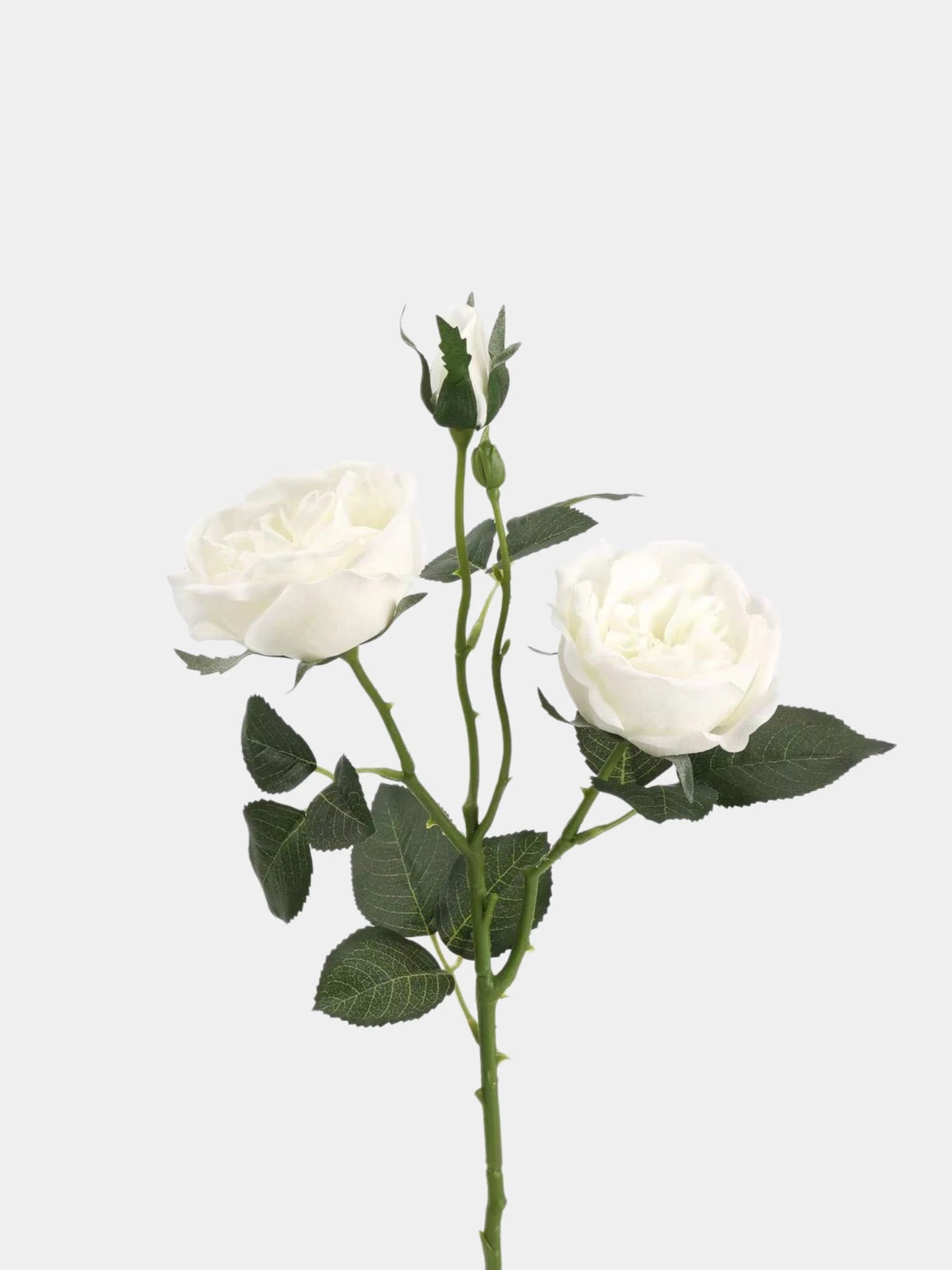 Real Touch Juliet Spray Rose Stem – 21"