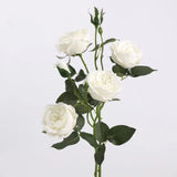 Real Touch Juliet Spray Rose Stem – 21"