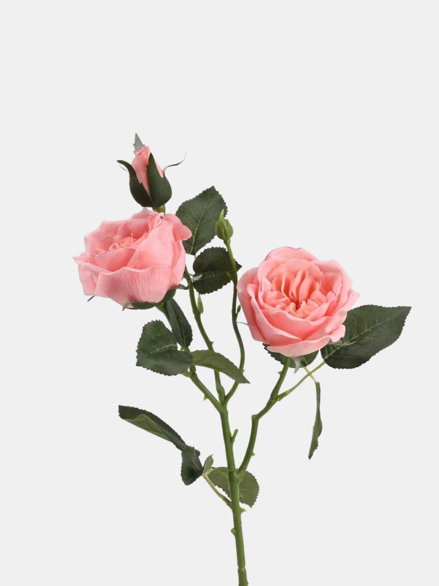 Real Touch Juliet Spray Rose Stem – 21"