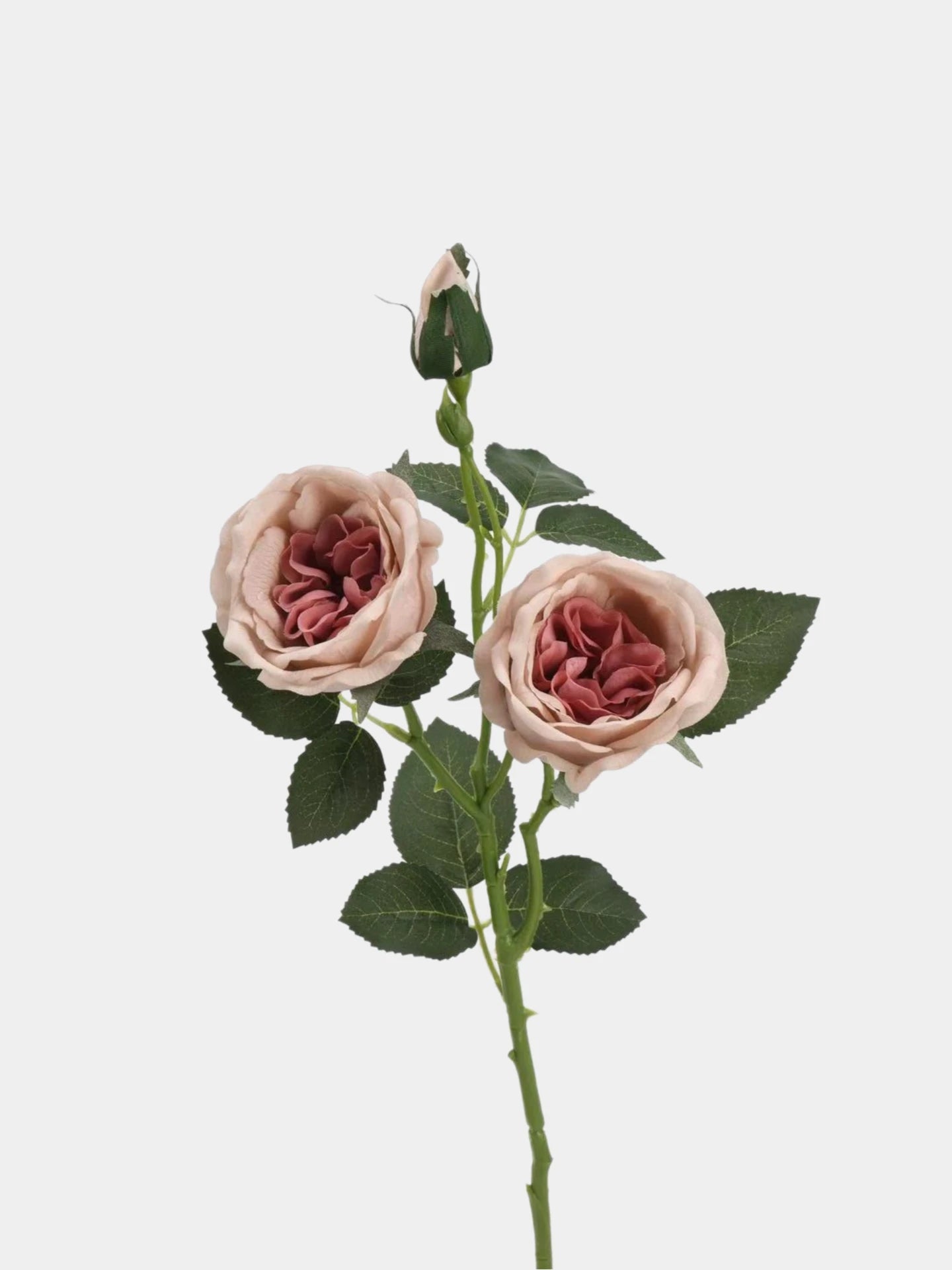Real Touch Juliet Spray Rose Stem – 21"