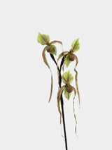 Real Touch Lady's Slipper Orchid Stem