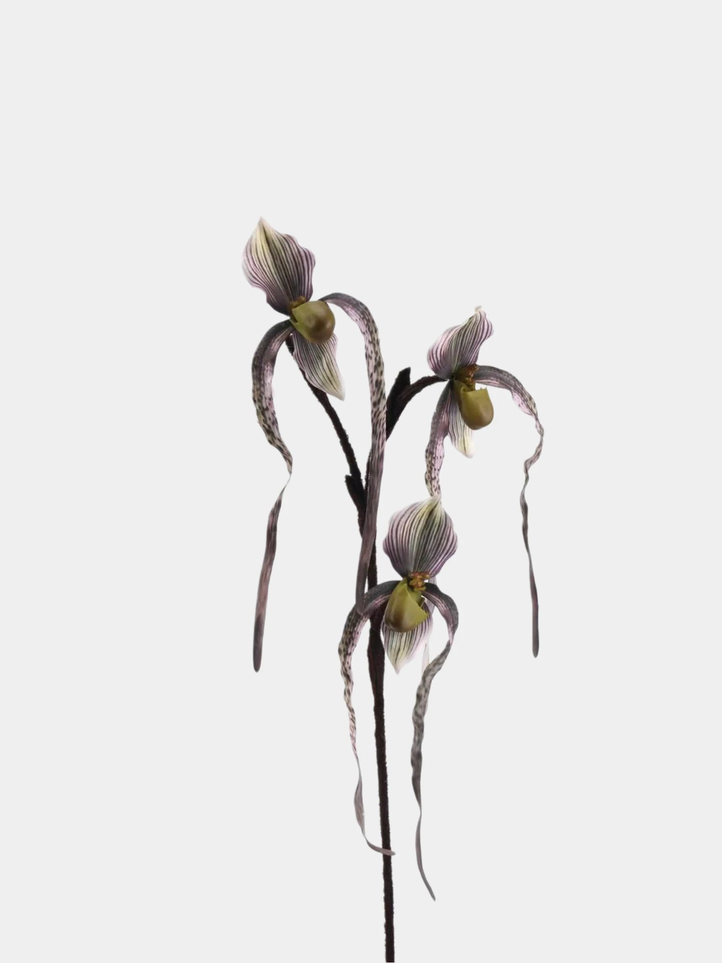 Real Touch Lady's Slipper Orchid Stem