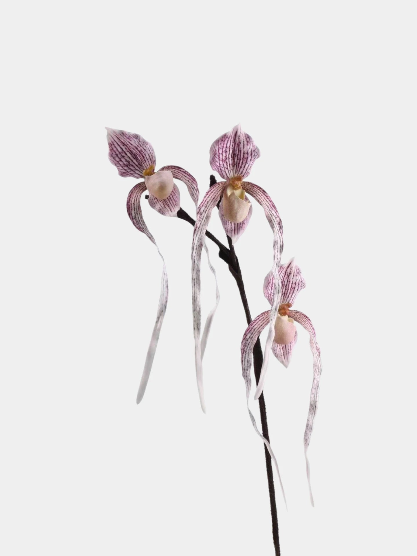 Real Touch Lady's Slipper Orchid Stem