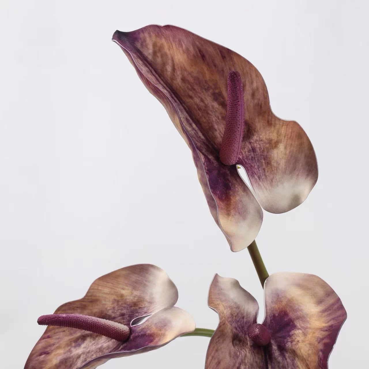 Real Touch Large Anthurium Flower Stem – 26"/65cm